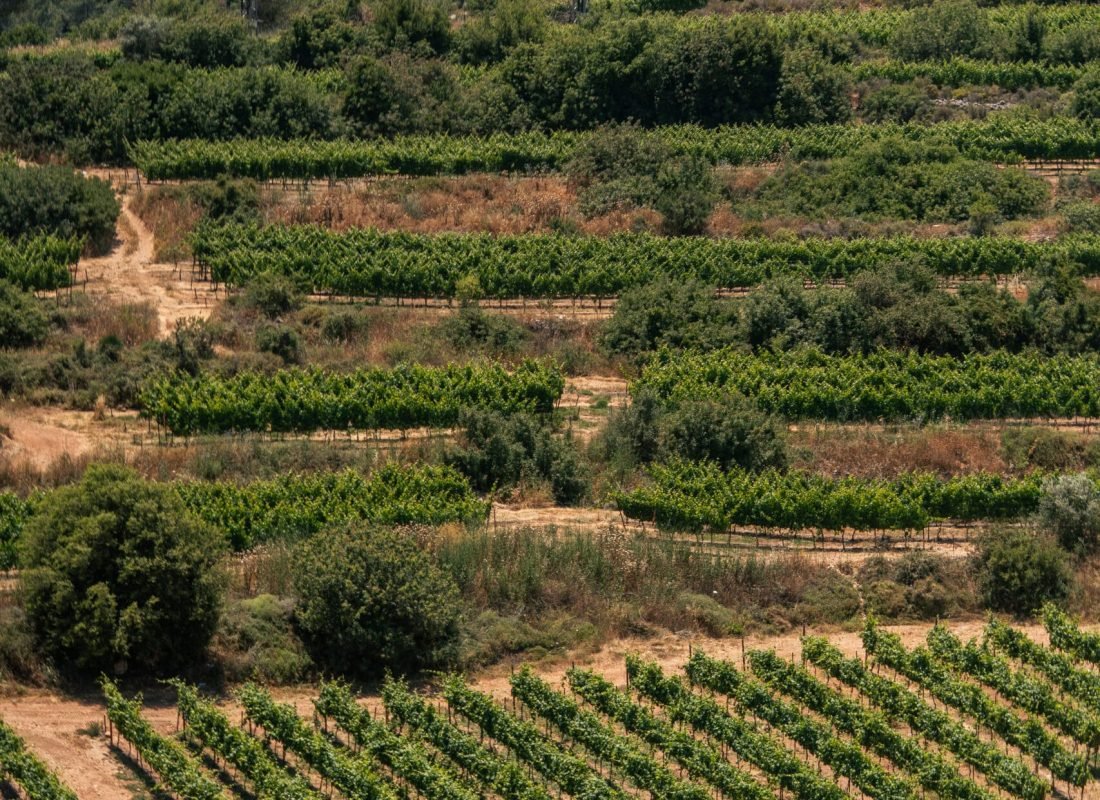 BarMoshe-04735